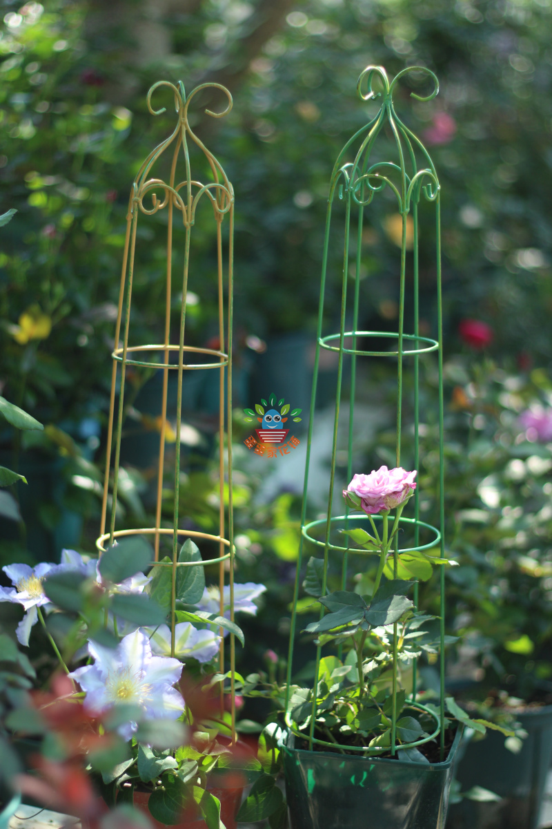 1 gallon basin climbing rattan iron wire lotus turtle chia dragon small simple flower shelf iron art doing old balcony potted frame