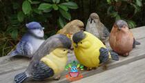 Six resin bird ornaments outdoor garden animal decorations play Magpie gardening groceries
