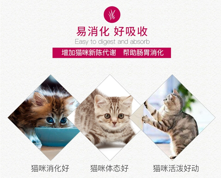 Wei Ta Kraft Cat Snack Cat Meat Dải Short Blue Cat Kitten Pet Cat Molar Chicken Soft Silk Canxi 50g thức ăn cho chó mèo