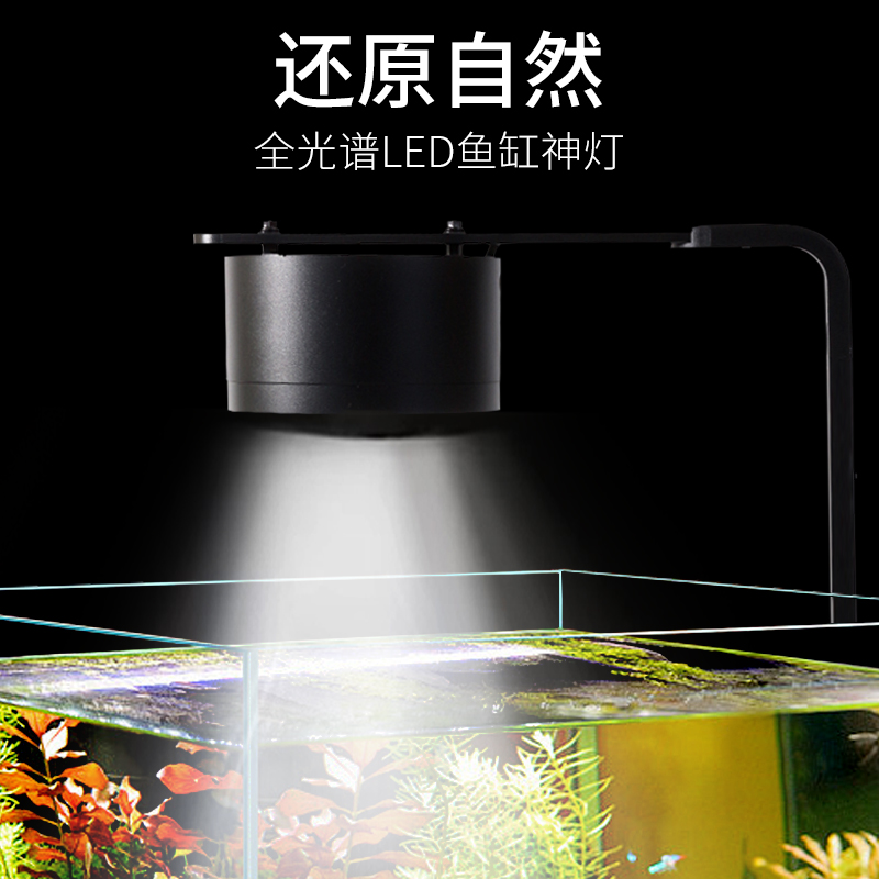 ライト工場直販ラテン金魚タンクネイティブタンクストリームタンク水植物タンク藻類爆発色強化魔法のランプAT1光源