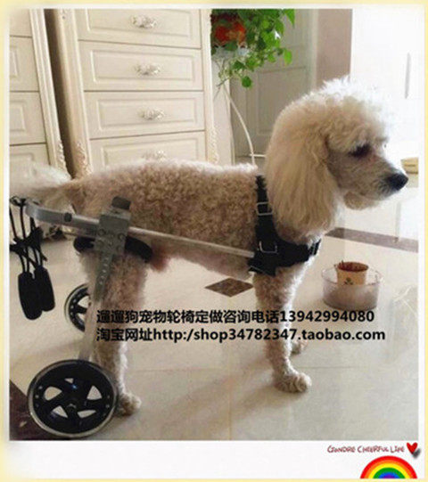 Dog wheelchair car disabled pet rehabilitation car scooter rear limb paralyzed pet wheelchair car broken leg puppy car
