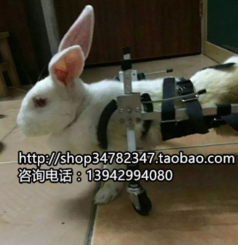 Dog wheelchair pet wheelchair car paralyzed dog rehabilitation vehicle small and mentally handicapped pet hindlimb training adult scooter