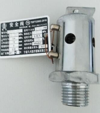 上海申安立式压力表蒸汽灭菌器LDZX-50KBS消毒锅配件0.165安全阀