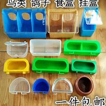 Chicken duck goose pigeon feeder drinking tank automatic lower feeding bucket feeder Bird Micro drinking bowl box