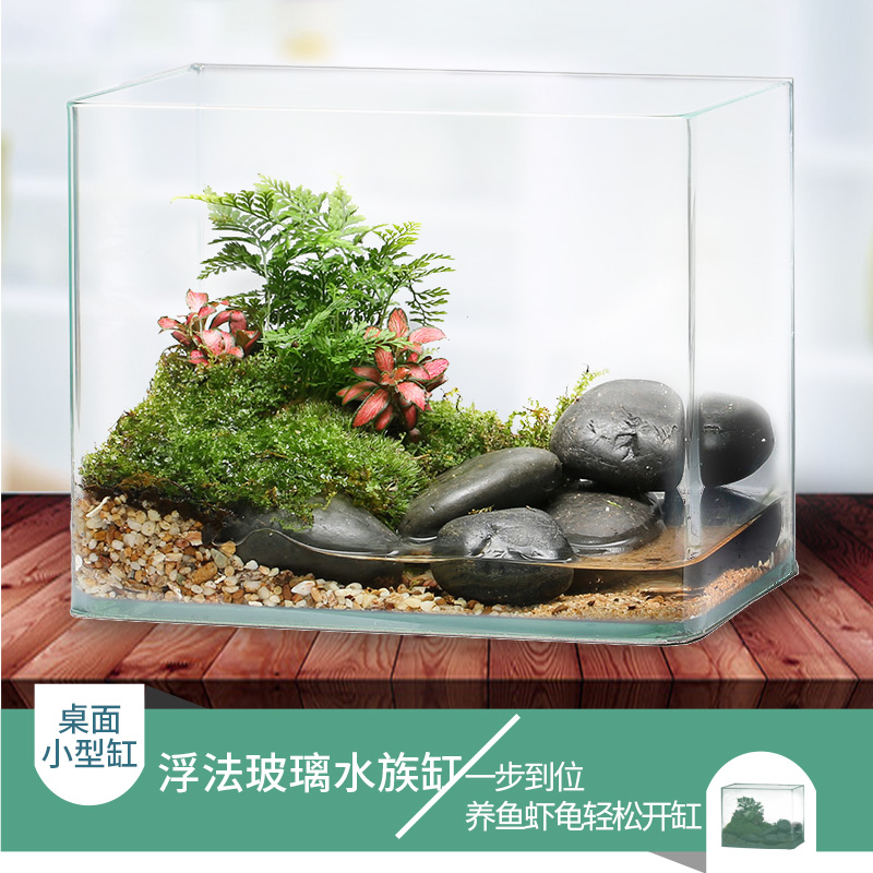 Office small glass fish tank Float glass Angled aquarium tank Mini goldfish tank Turtle tank Land and water tank