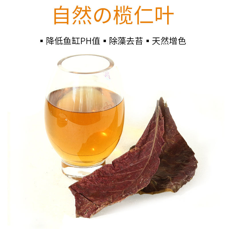 Tropical fish reduced PH natural sun drying sloth leaves Leumaine leaf Shenxian red dragon stocked with acid to improve softened water