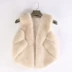 Áo khoác lông nữ 2018 mới giả cao lông cáo lông cỏ vest ngắn lông cáo vest không tay áo lông nam Faux Fur