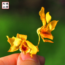Dali Mountain Residence Yunnan Wuliangshan Special Drum Dense Dendrobium flower dried flower ten thousand Zhang must non-Dendrobium candidum 7 grams