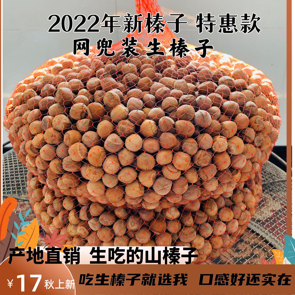 New hazelnuts in 2022 Tieling Kaiyuan wild hazelnuts Northeast specialty sun-dried net bag raw hazelnuts mountain hazel