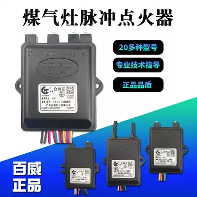 Coal gas double single port furnace Furnace General electronic pulse igniter 1 5V3V controller accessories coil high voltage package