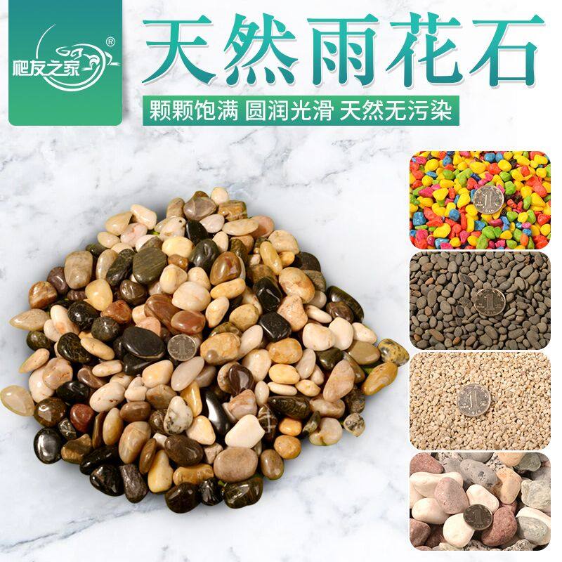 Natural rain flower stone cobblestone climbing and landscaped rearing box cushion material medical stone water tortoise land turtle sand cushion potted sand stone