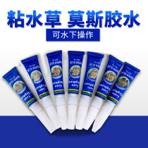Water plant glue Moss glue Special transparent underwater instant glue Coral sinking wood stone glue Family fish tank glue
