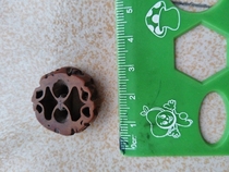 12331: The walnut slice of the Qing Dynasty