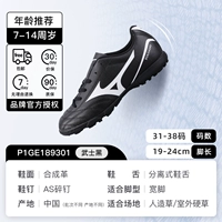 [Поддержка безопасности Strong] P1GE189301