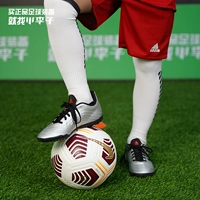 G25825 обувь + носки