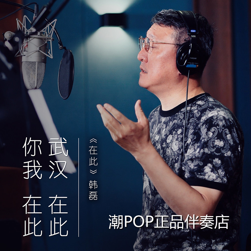 Han Lei here accompaniment official original stereo HQ HD 320k unvoiced pure accompaniment