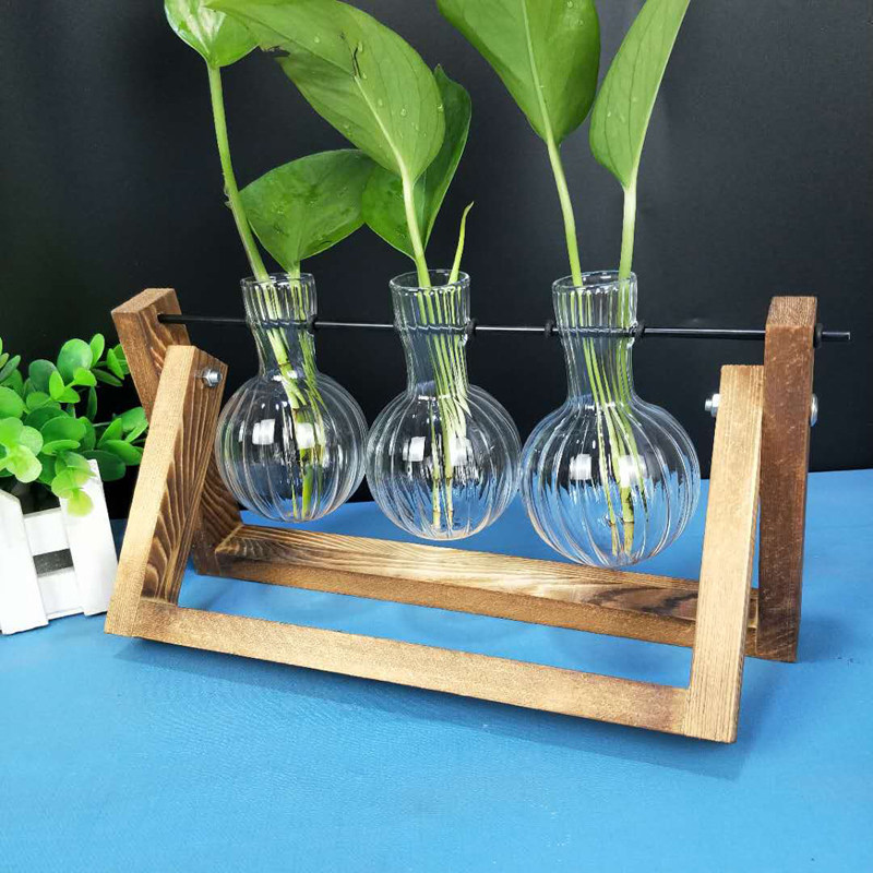 Creative wooden frame Glass vase Hydroponic golden Ge flower pot container Transparent desktop ornament flower arrangement bottle hydroponic plant