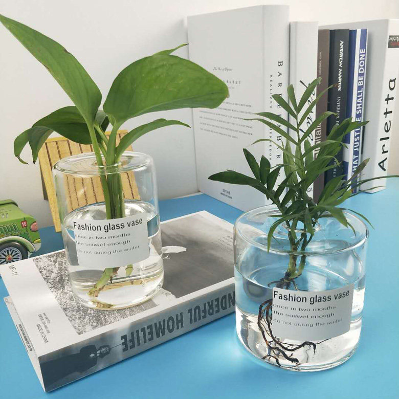 Nordic minimalist creative glass vase desktop flower arrangement Golden kudzu hydroponic plant container transparent glass hydroponic flower pot