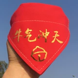 Новый год поздравляю Fortune Fortune Fortune Festival Festival Pet Dog Dog Dog Water Scarf Scarf Scarf Большая собака Золотая Мао Басте