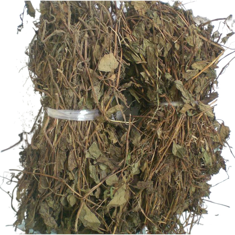 Houttuynia cordata folded ear root farmhouse Houttuynia cordata tea dog stick ears wild Guangdong Meizhou Hakka 500g