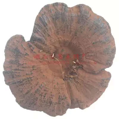 Ganoderma lucidum whole branches and whole flowers Ganoderma Lucidum Ganoderma lucidum with legs and legs Nyingchi Bulk dry goods Guangdong Meizhou Hakka native 250g