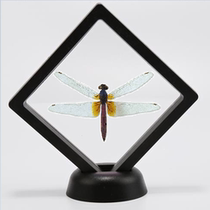 Butterfly: Dragonfly specimens insect specimens a variety of scientific and educational specimens natural science education birthday gifts