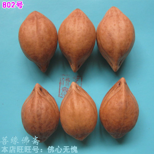 Olive core carving raw material Big round core Arhat head Eight immortals Maitreya Buddha Dragon and Tiger head text play Bodhi rich armor Red oil core Hu