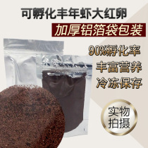 90% Hatching rate red eggs 2021 new production high hatching rate big red eggs Fenger year shrimp egg seedlings opening