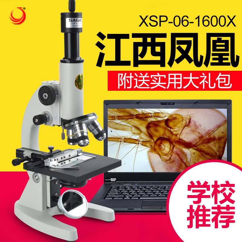 Jiangxi Phoenix Optical Biological Microscopy XSP-06-1600 High-times Professional Children's Science High School Students Experiment-Taobao