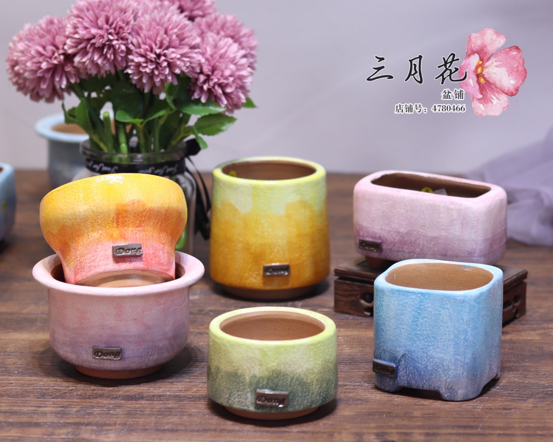 Creative dong brand boutique colorful symphony series pottery clay breathable hand-painted Korean succulents ceramic pots