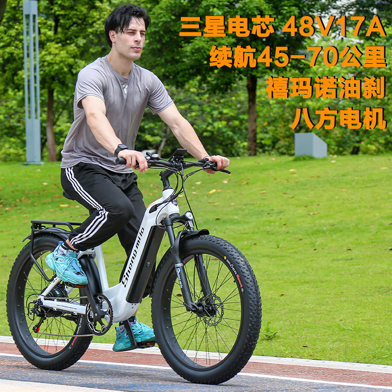 Electric bicycle power-assisted bicycle 26 inches 48V beach snowmobile lithium battery 4 0 tires battery transportation mountain bike