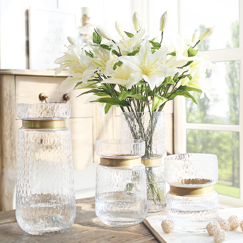 Bx Light Luxury Transparent Glass Metal Trim Vase Simple Modern