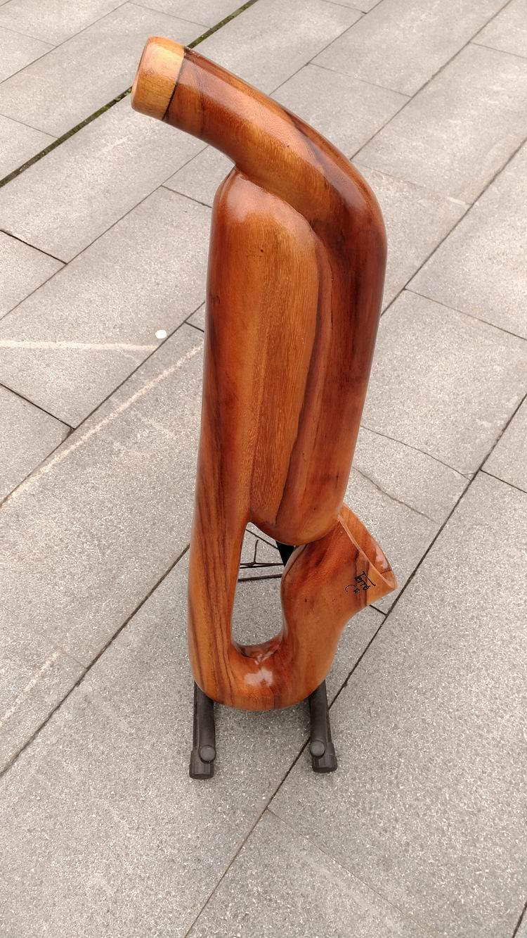 Derry Terre eucalyptus saxophone didgeridoo didgeridoo Australian musical instrument C# D key