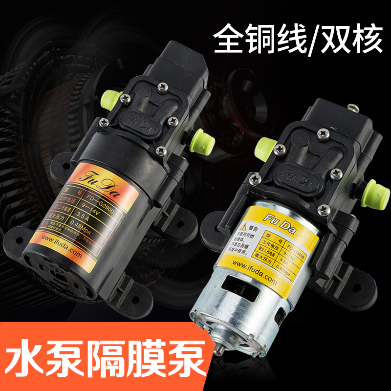 12V dual-powered water pump agricultural electric sprayer double pump high-pressure reflux direct current spray drug single pump intelligent