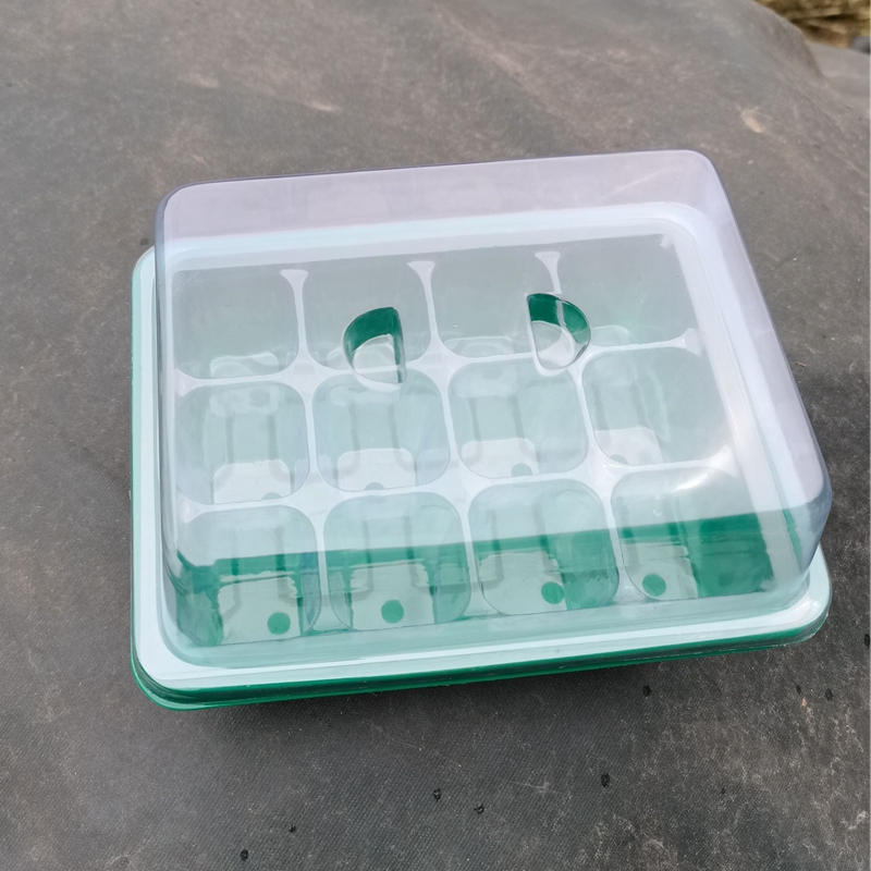 3 suit sunshine gardening transparent lattice seedling box plastic three sets of nursery seedling box nursery tray visible root system 70