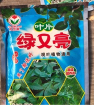 Foliage Plant material green leaf fertilizer