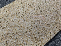 2453 Fimble Gentle Gang Gang Outter Wall Plain