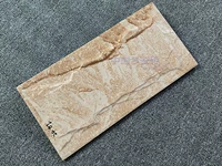 2482 Имитация грибной каменной настенной плитки