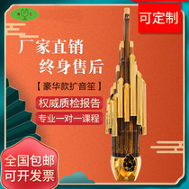 Sheng musical instrument professional high-grade beginner PA Sheng 17 spring round Sheng 14 spring square Sheng Zizhu Tianjin Jingyi