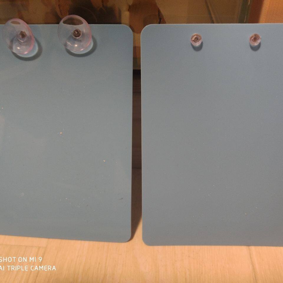 Angelfish swallow fish breeding plate spawning plate breeding tank spawning pot colorful angelfish