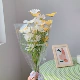 3 белый+желтый 2 опора+сумка Yingwen+кружево