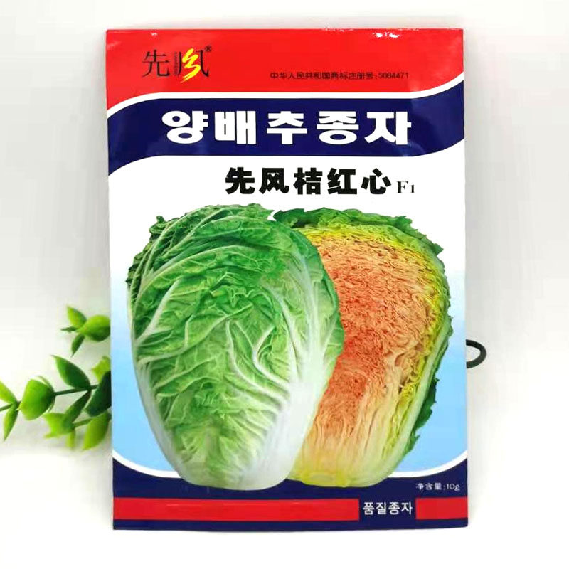 Korean pioneer Red orange heart cabbage seeds Vegetable seeds Lettuce Leek rapeseed shallots Coriander seeds