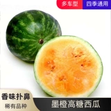 Ранняя приготовленная оранжево -желтая почва, благословение арбуз, нелегко взломать дыню дыни в четыре сезона весенний сезон, овощи в горшках, фрукты, семена семян