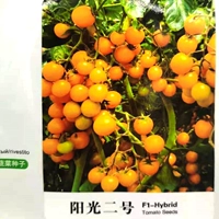 Серия золотых бусин Солнечный свет № 2 1000 Капсулы