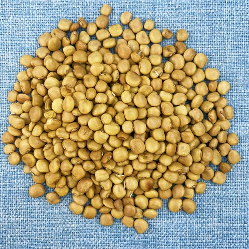 Мама гора Семена сладкого картофеля Семена сладкого картофеля прохладно картофель семена овощей