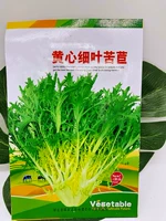 Желтое сердце тонкое лист горький хриза