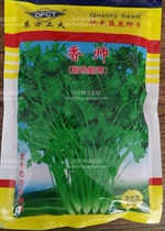 High yield of vegetable seeds and disease resistance Shunchang improved bolting-resistant coriander seeds 250g