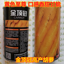 Golden carrot seed West Asia introduced sweet crisp and delicious high-yield disease-resistant vegetable seeds heat-resistant