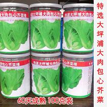 Four seasons spring sowing Dapingpu big meat bag heart mustard cabbage kale kale kale lettuce rape chrysanthemum seeds crispy meat thick