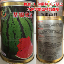 Early maturing big fruit watermelon seeds Tsuen Yinxin Crown watermelon seeds super sweet sugar 13 yield high juicy taste sweet